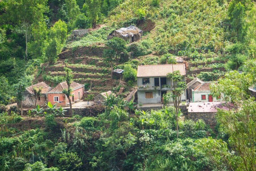 Serra Malagueta Natural Park: Hike to Gongon Valley & Lunch - Who should book this hike?