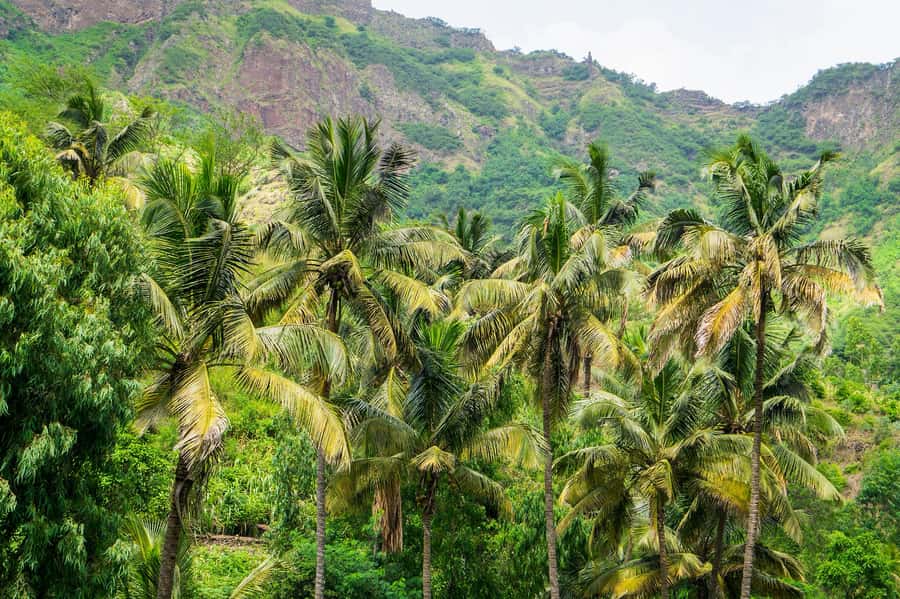 Serra Malagueta: Principal Valley Hike & Lunch with Locals - The Principal Dam and the final island drive