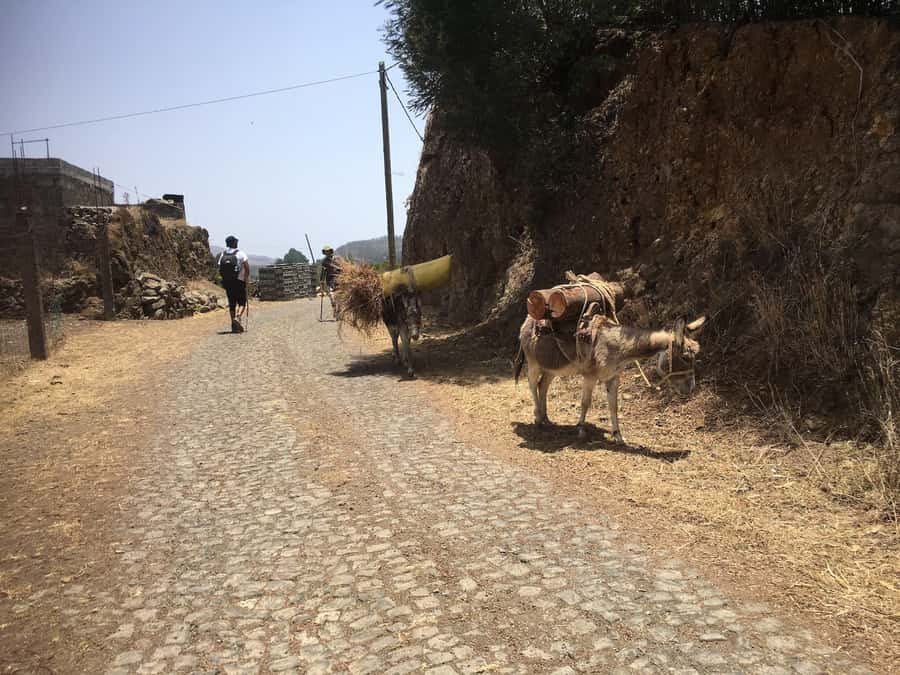 Shore Excursion, Santo Antão, Full Day, Highlights by car - Delgadin and the narrow crossing between valleys