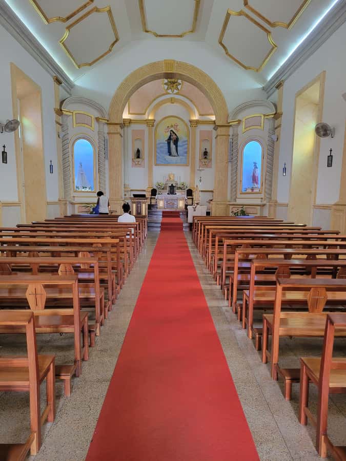 Shore Excursion: São Vicente, Full Day, 6h - Mindelo brings culture, markets, and city life