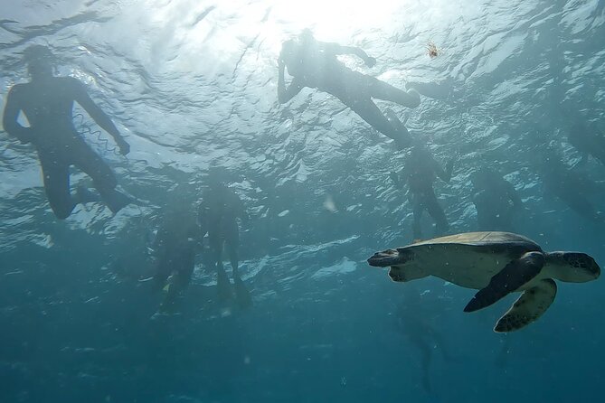 Snorkeling Experience in Santa Maria Bay by boat - Looking for Fish and Sea Turtles