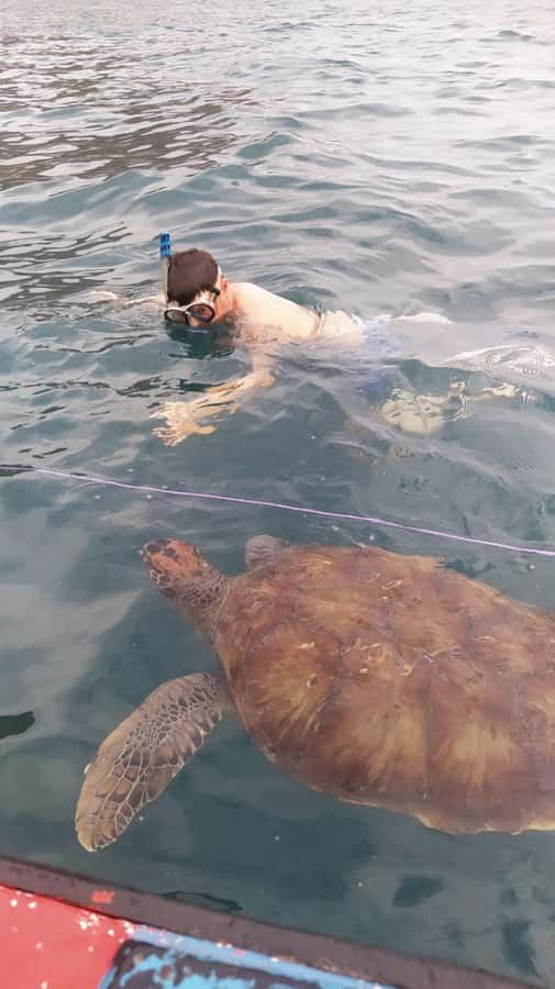 Snorkeling with Turtles - Why São Pedro makes a good snorkeling setting