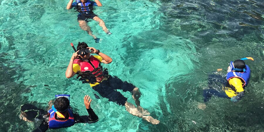 Snorkeling with turtles at Sao Pedro's Beach - Who will enjoy this turtle snorkeling trip