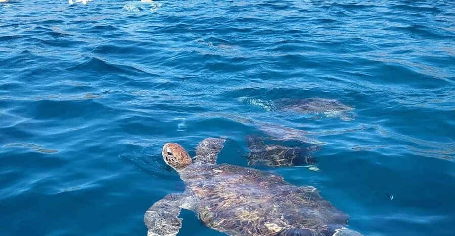 Snorkeling with turtles at Sao Pedro's Beach - Getting ready with mask, snorkel, and safety instructions