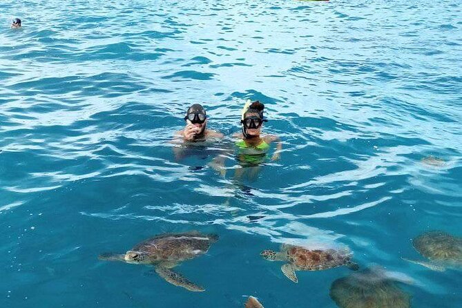 Spectacular experience with sea turtles - Snorkeling equipment and safety gear