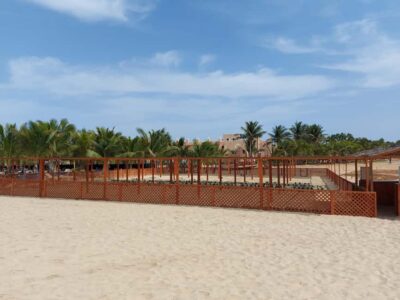 Turtle watching in Boa Vista Island