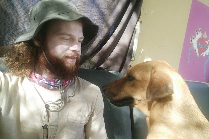 Volunteering with animals in Sao Vicente! - Puppies, play, and human contact