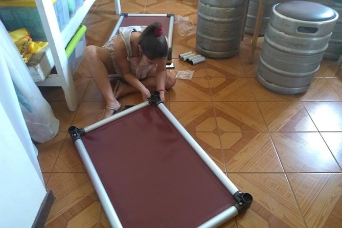Volunteering with animals in Sao Vicente! - Quiet time with the cats