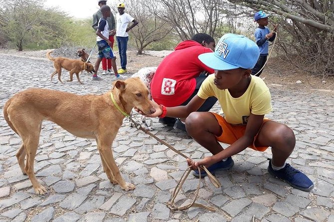 Volunteering with animals in Sao Vicente! - Helping at the hostel